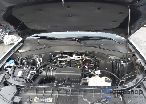 2024 Ford Explorer Xlt z USA, uszkodzony, nr VIN 1FMSK7DH9RGA04656